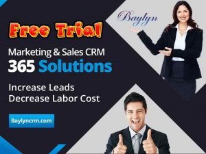 Baylyn CRM Banner Ads Service