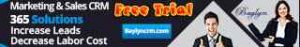 Baylyn CRM Banner Ads Service
